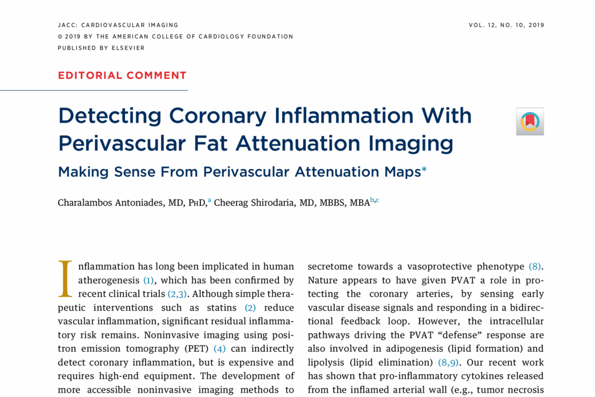 Detecting Coronary Inflammation With Perivascular Fat Attenuation Imaging: Making Sense From Perivascular Attenuation Maps