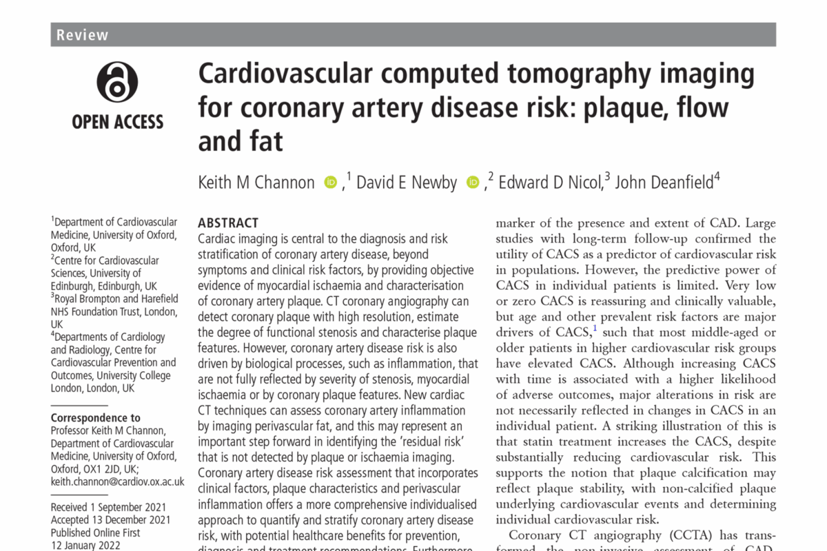 Cardiovascular Computed Tomography Imaging for Coronary Artery Disease Risk: Plaque, Flow and Fat