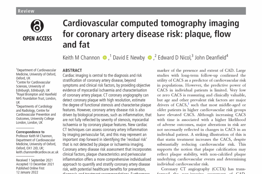Cardiovascular Computed Tomography Imaging for Coronary Artery Disease Risk: Plaque, Flow and Fat