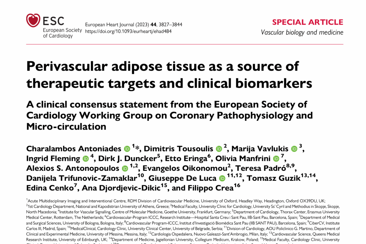 Perivascular adipose tissue as a source of therapeutic targets and clinical biomarkers: A clinical consensus statement from the European Society of Cardiology Working Group on Coronary Pathophysiology and Micro-circulation