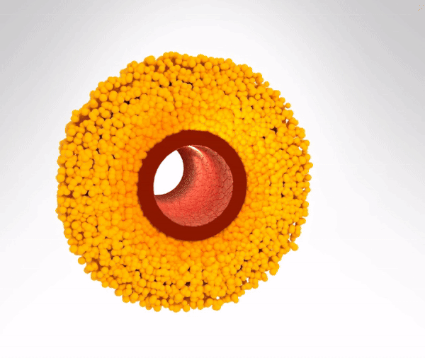 Υγιής αρτηρία