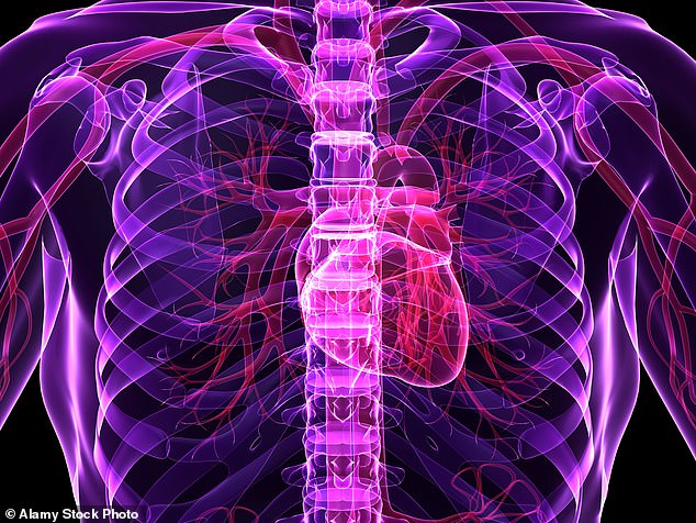 Hi-tech scan that can spot risk of a heart attack up to TEN YEARS in advance could be available on NHS within two years